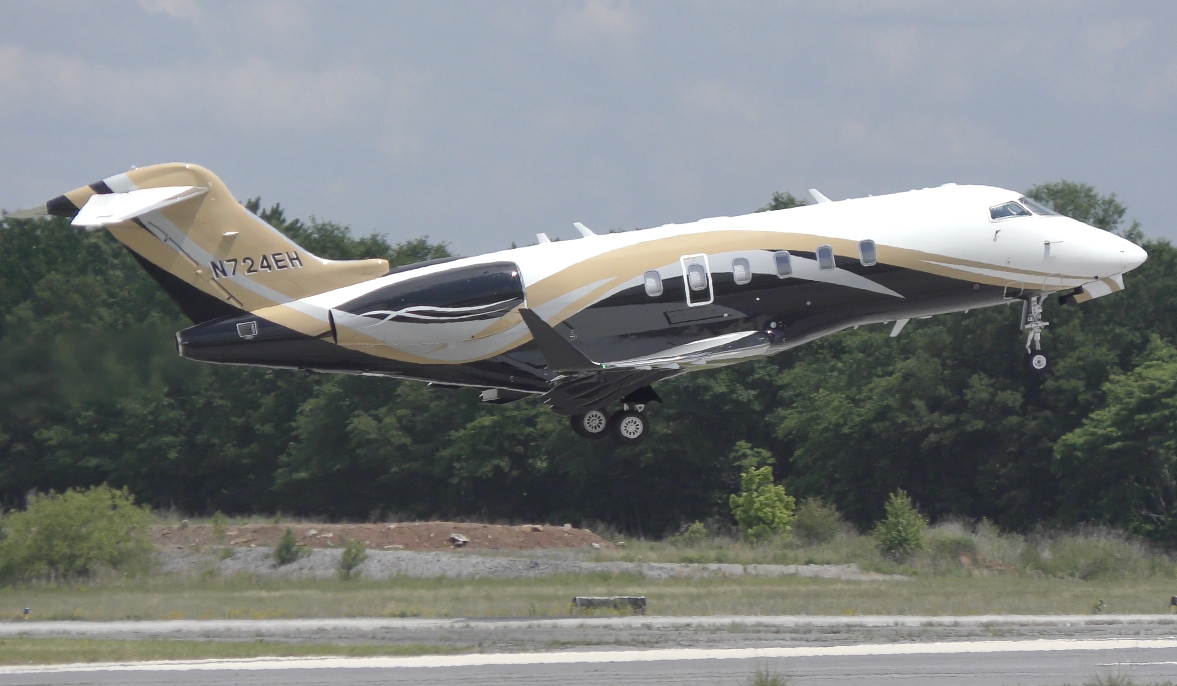 Eric Holm Private Jet